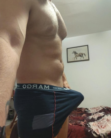 20CM TURKISH DOMINANT BULL — Warszawa