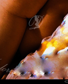 Nicolee991 — Piła