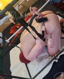 Wyjazady / kamerki /dziś 190