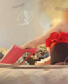 Wyjazady / kamerki /dziś 190