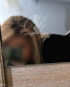 Zuzia Priv — Wrocław