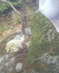 NICOLE!!! JESZCZE TYLKO KILKA DNI!!!