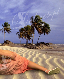 Tantric sensuality massage Escort  24h Erotic Tantryczny