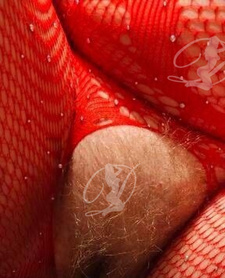 Kamerki WhatsApp lub Du