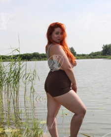 WOLFIE RED FOX OFFICIAL