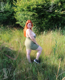 WOLFIE RED FOX OFFICIAL