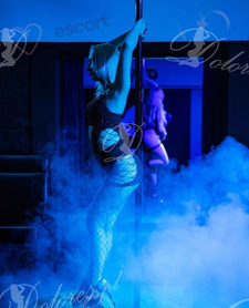 Wyjazdy Cameleon Club