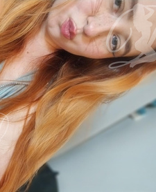 WOLFIE RED FOX OFFICIAL