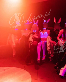 Wyjazdy Cameleon Club