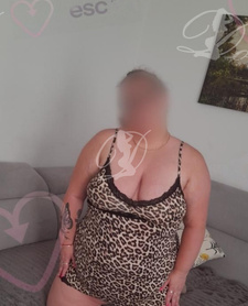 Dzika kocica — Tarnów