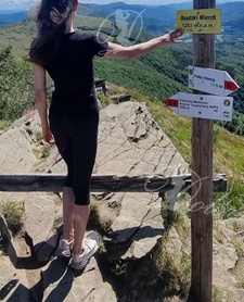 51kg ULEGLA TRANS Szczuplutka suczka