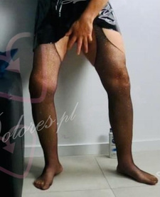 Trans4fun — Poznań